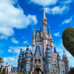Photo du Château disney en Floride